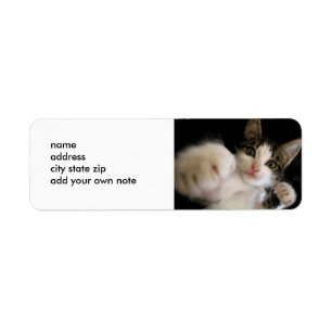 HISSABLE KISSABLE KITTY LABEL