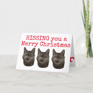 Hissing you a Merry Christmas Christmas card