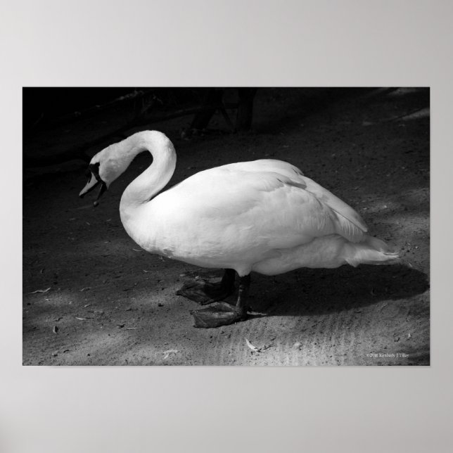 HiSSs Poster (Front)