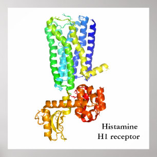 Histamine receptor poster