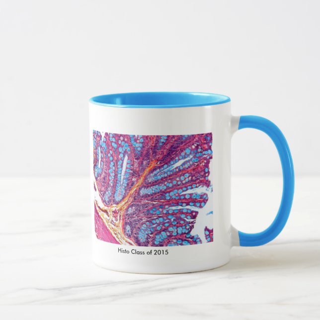 histo class mug (Right)