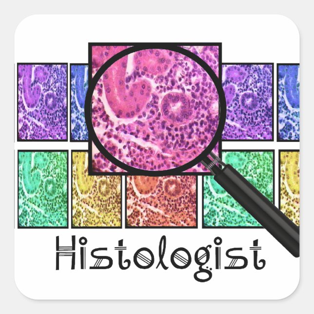 Histologist Gifts Magnified Cells Design Square Sticker (Front)