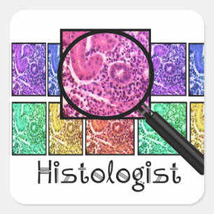 Histologist Gifts Magnified Cells Design Square Sticker