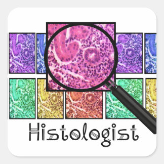Histologist Gifts Magnified Cells Design Square Sticker