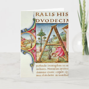 Historiated initial 'A' depicting Note Card