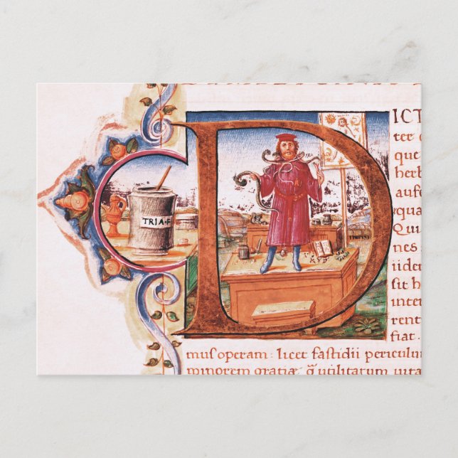 Historiated initial 'D' depicting an apothecary Postcard (Front)