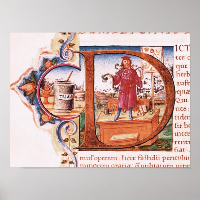 Historiated initial 'D' depicting an apothecary Poster (Front)