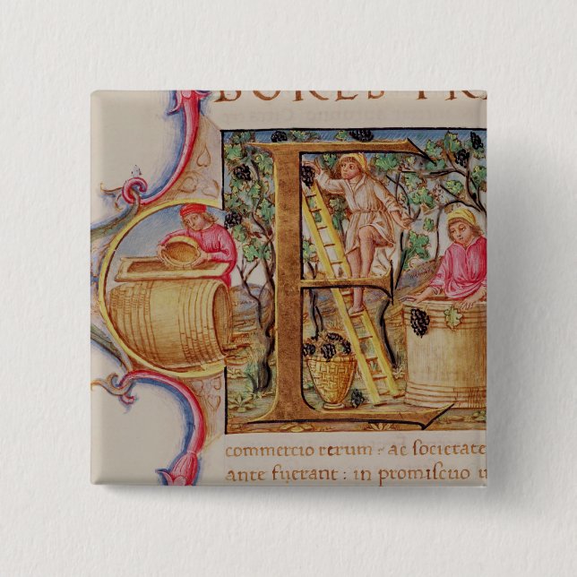 Historiated initial 'E' depicting grape picking 15 Cm Square Badge (Front)