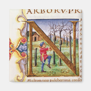 Historiated Initial 'N' Magnet