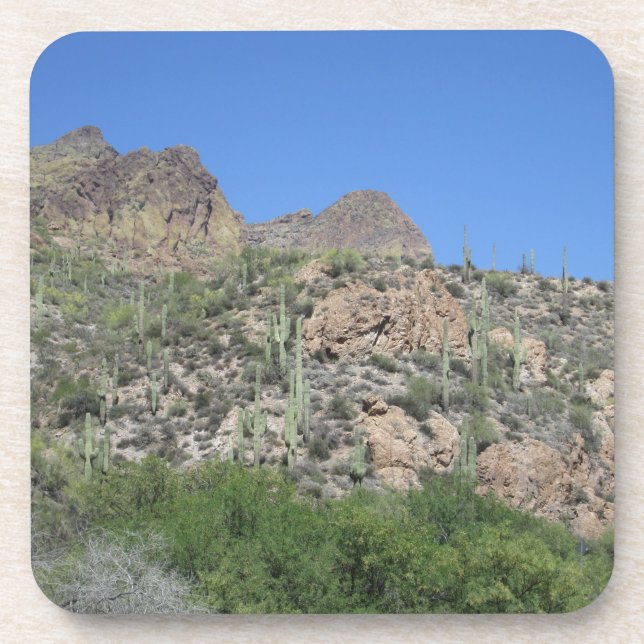 Historic Apache Trail Coaster (Front)