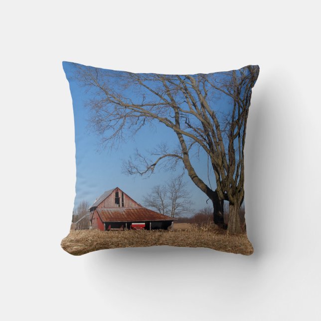Historic Barn in Illinois, USA Pillow (Front)