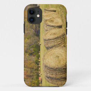Historic farm in the Buffalo National River, iPhone 11 Case
