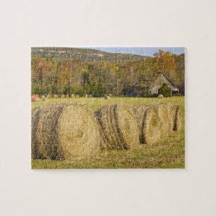 Historic farm in the Buffalo National River, Jigsaw Puzzle