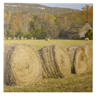 Historic farm in the Buffalo National River, Tile