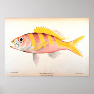 Historic Fisheries Poster