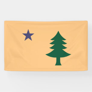 Historic Flag of Maine (1901–1909) Banner