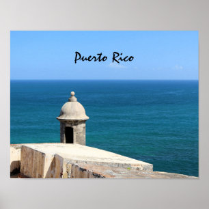 Historic Fort Poster