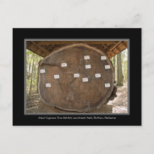 Historic Landmark Park, Dothan Alabama Post Card