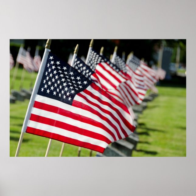 Historic military cemetery with US flags Poster (Front)