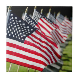 Historic military cemetery with US flags Tile