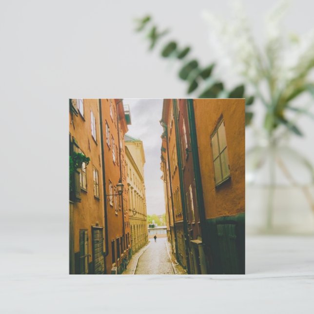 Historic old town, Gamla Stan, Stockholm, Sweden (Standing Front)