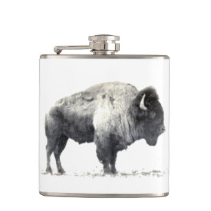 Historic photograph of American Bison Hip Flask