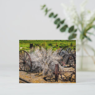 Historic Ranch Wheels Glossy Postcard