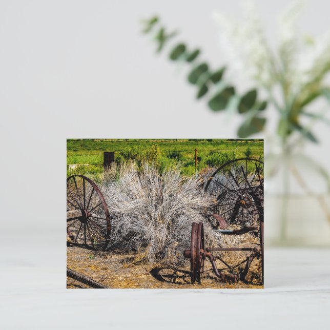 Historic Ranch Wheels Glossy Postcard (Standing Front)