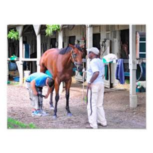 Historic Saratoga Racetrack Photo Print