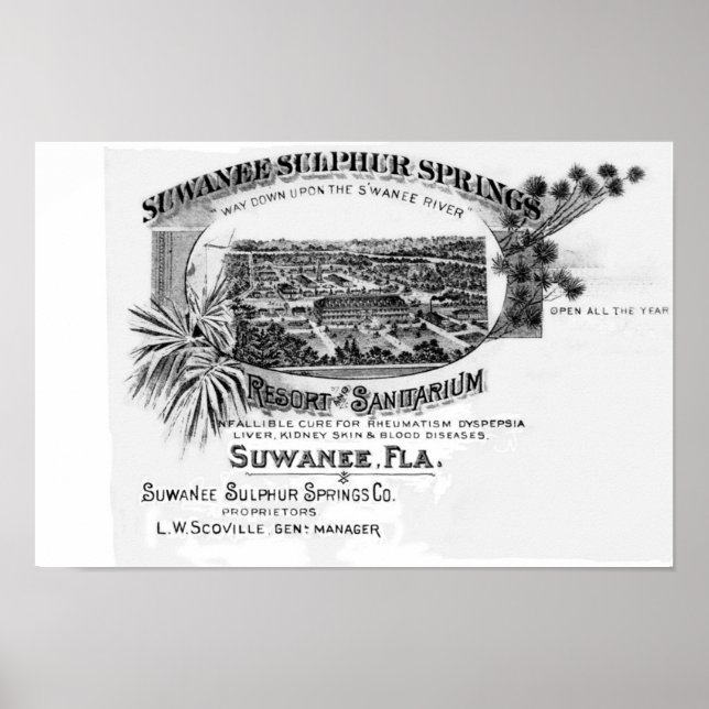 Historic Suwannee Springs, Florida suwannee river, Poster (Front)