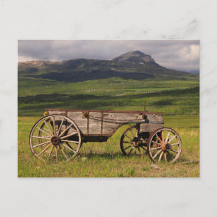 Historic Wagon Left In A Pasture  Postcard