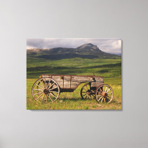 Historic Wagon Left In A Pasture Waterton Canvas Print