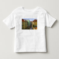 Historical buildings with canal, Prague, Czech