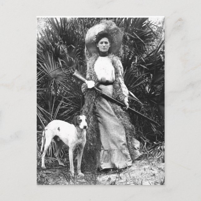 Historical Florida Postcard (Front)