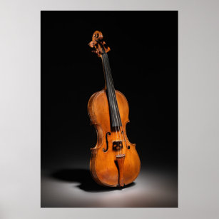 Historical Italian Cello Photograph (1560) Poster