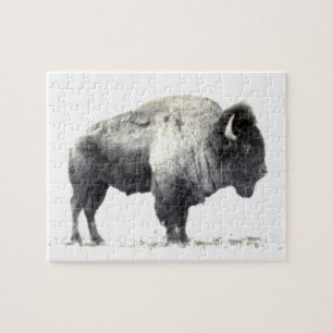 Historical Photograph of American Bison Jigsaw Puzzle