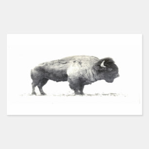 Historical Photograph of American Bison Rectangular Sticker
