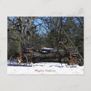 Historical Six Spring Wagon....... Postcard