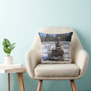 Historical Steam Engine....  Cushion