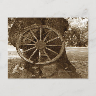Historical Wagon Wheel Postcard