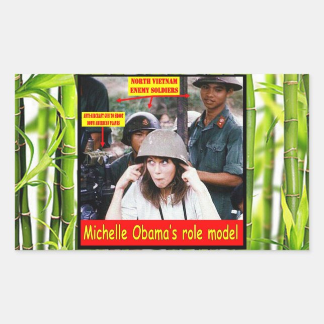 HISTORY LESSON FOR YOUNG AMERICANS RECTANGULAR STICKER (Front)