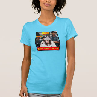 HISTORY LESSON FOR YOUNG AMERICANS T-Shirt