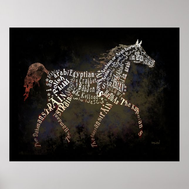 History of the Arabian Horse Poster (Front)