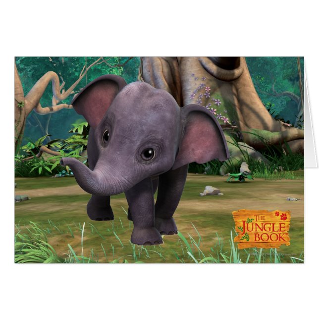 Hita (Front Horizontal)