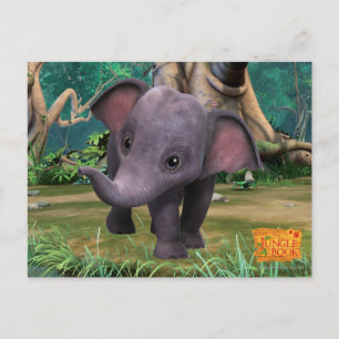 Hita Postcard