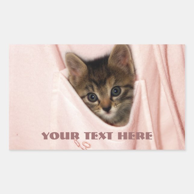 Hitchhiking Rectangular Sticker (Front)