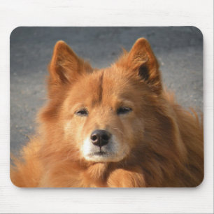 'Hiya!' Mouse Mat