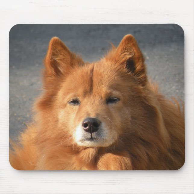 'Hiya!' Mouse Mat (Front)