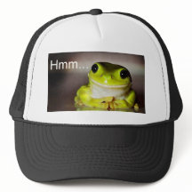 Hmm Frog