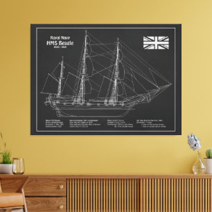 HMS Beagle Tall Ship - Ship Blueprint PBD Canvas Print